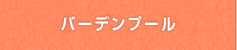 バーデンプール