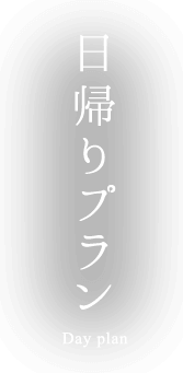 日帰りプラン